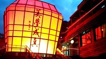 N113 Jingtong Station Pingxi Old Street Jiufen Old Street Keelung Miaokou Night Market Day Tour (10h)