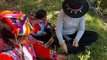 Experience the Magic of Andean Textiles: Weaving workshop - Cusco