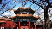 Special Offer: Lama Temple with Best Tour Guide