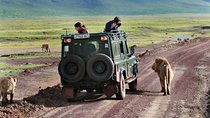 2 Day Private Safari in Lake Manyara and Ngorongoro Crater National Park