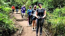 Mt Kilimanjaro Day Hike