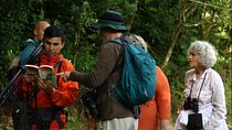 Monteverde Cloud Forest Tour with a Certified Tour Guide