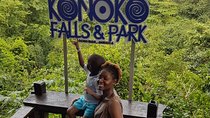Konoko Falls & Park Private Transportation 