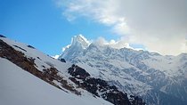 4 Days Mardi Himal Base Camp Trek - 4500 Meters