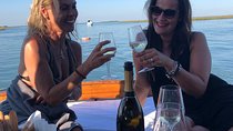 Relaxing Luxury Boat Tour of the Venetian Lagoon