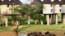 3 Days 2 Nights To Sarova Saltlick And Taita Hills