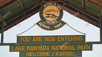 1 Day Joined Group Safari in Lake Manyara