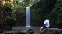 Tibumana Exotic Waterfall & Monkey Forest in Ubud - Private Tour
