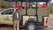 Full Day Kruger Park Safari From Hazyview