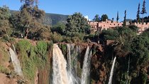 Best guided day trip to Ouzoud waterfalls from Marrakech