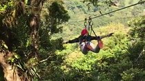 Tirolinas & Hanging Bridges Day Trip in Monteverde
