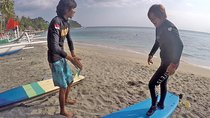 Beginner surf lesson private class - Adult