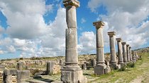 Day Trip - Fez > Meknes > Volubilis 