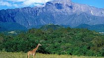 4 Days Private Safari Ngorongoro Crater,Tarangire, Manyara, Arusha National Park