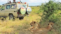 6 Day Private Lodge Safari in Northern Circuit