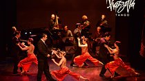 Palacio Tango: Tango Show at the Piazzolla Theater