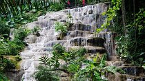 Konoko Falls and Garden Tour from Negril