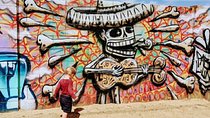 RoRo Street Art Tour in Phoenix