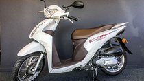 Scooter Rental - Honda NSC110 Dio 110cc