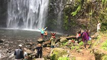 Kinukamori or Materuni Waterfall & Coffee Tour