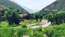  Marrakech To The Atlas Mountains Day Trip 3 Valleys & Camel Ride 