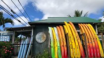 Midday Meander - Kealakekua Bay Kayak and Snorkel Adventure