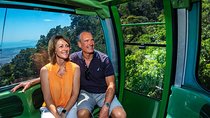 Skyrail Rainforest Cableway Day Trip from Cairns