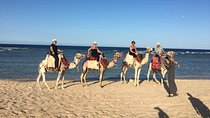 Horse Or Camel Riding -Hurghada