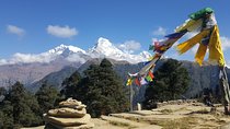 Ghorepani Poonhill Hiking Nepal