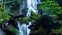 Private Transfer between Hangzhou City and Canglong Waterfall in Anji