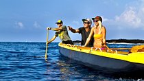 Wa'a Rides and Charters - Hawaiian Outrigger Canoe Excursions
