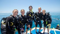 4-Day PADI Open Water Dive Course - Learn to Dive on the Great Barrier Reef