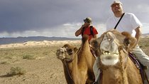 1 Day Semi-Gobi Tour Including Lunch And Free Camel +Bonus Khustai National Park