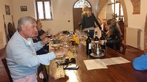 Wine Cheese and EVO Oil Tastings Southern Tuscany Fullday from Florence