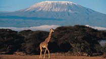 6 days Marangu RouteMount Kilimanjaro Trekking 