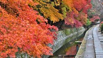7 Highlights of Kyoto in Autumn
