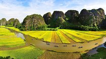 Hanoi - Hoa Lu -Tam Coc -Halong Bay 5days/4nights