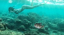 Amazing Bali Snorkeling At Blue Lagoon All Inclusive