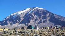 7 Days Kilimanjaro Trekking via Machame Route 