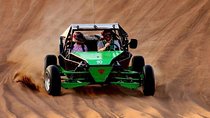 1Hour 2000cc Dune Buggy Adventure: Ultimate Milehah Desert Thrill
