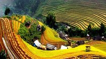 Sapa Trekking 2 Days - 1 Night, Homestay or Hotel by Sleeping Bus