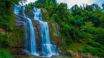 All Inclusive 4-Day Tour to Kandy,Nuwara Eliya,Sigiri Dambulla&Polonnaruwa