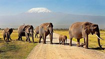 3 Days Amboseli National Park Safari