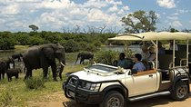 chobe Day trip