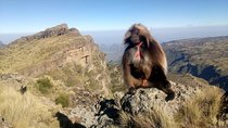 Simien Mountains Trekking Adventure
