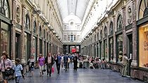 Private walking tour : Brussels historical city center Half Day