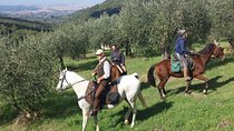 Horse ride, Olive Oil and local foods tasting in a Tuscan farm 