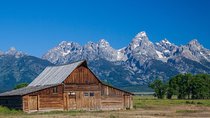 Private Grand Teton Wildlife Safari Tour