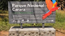 Carara National Park Birdwatching Private Guided Tour Experience. 