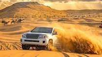 Dubai Private Morning Desert Safari: Camel Ride & Sandboarding